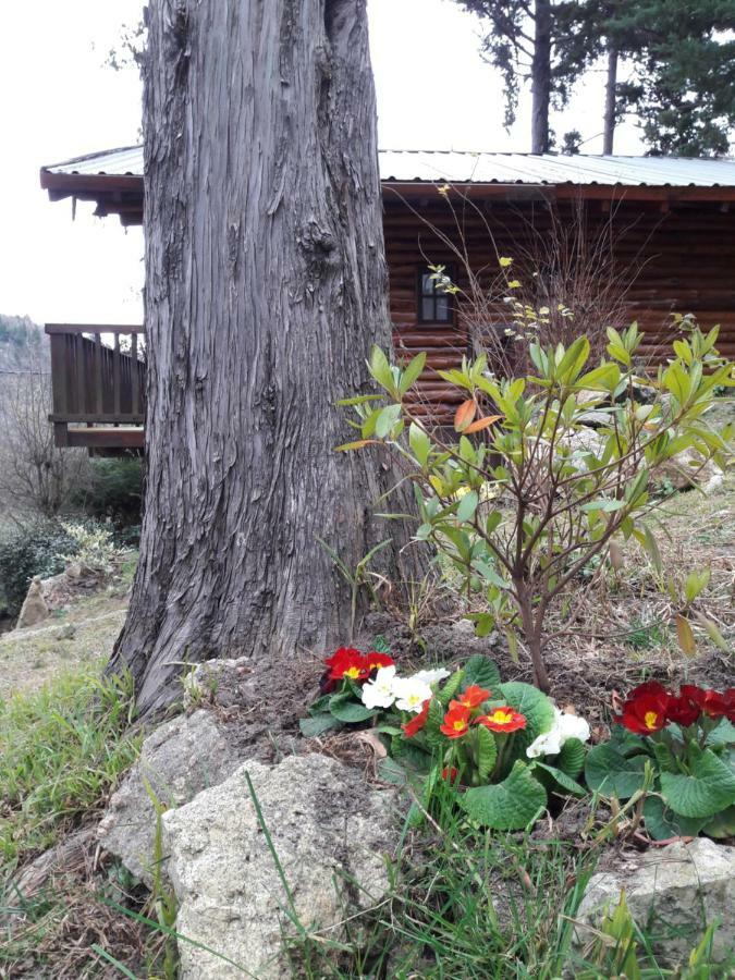 Cerro Cumbrecita Villa La Cumbrecita Eksteriør bilde